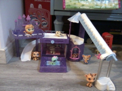 La Mairie,patinoire,petite piscine..