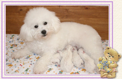 Lili et sa maman *.*