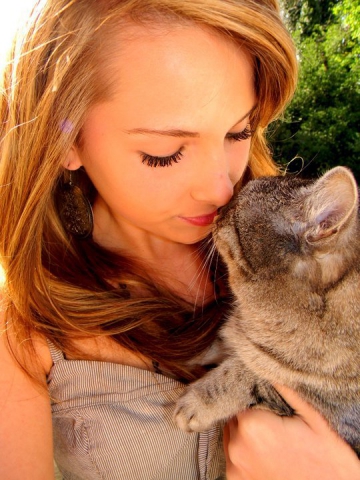 Croquette plus qu'un Chat !