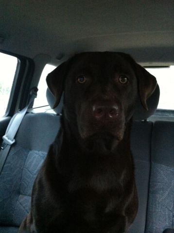 fiby mon bb bonheur :D