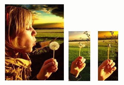 Je suis le ma�tre !