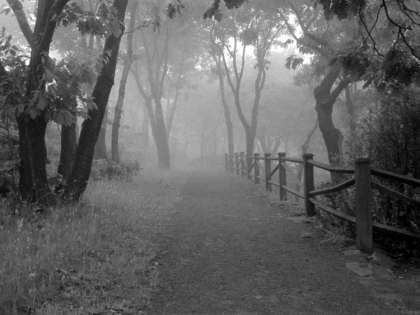 Mon prince charmant.