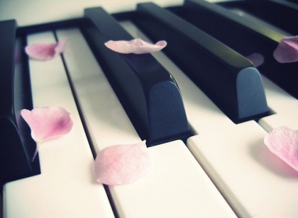 La vie c'est comme un voyage en bus...