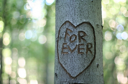 � L'�ternit� n'est pas dans le temps, elle est dans la profondeur. Dans son vertige. � Laurence Tardieu - Puisque rien ne dure.