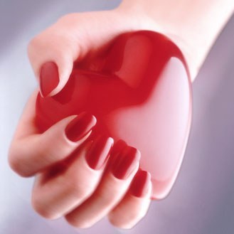 i give you my heart every body