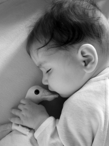 Bonjour les filles !