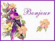 Bonjour tous le monde