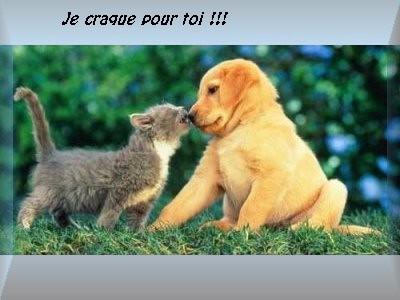 POEME POUR LA ST VALINTIN