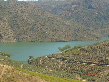 lcelet votre jore de zik