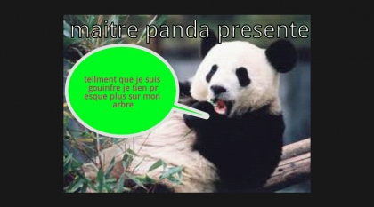 maitre panda presente