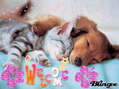                                Pour lizou22 - photo 3