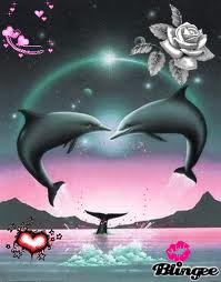                                    les dauphins - photo 2