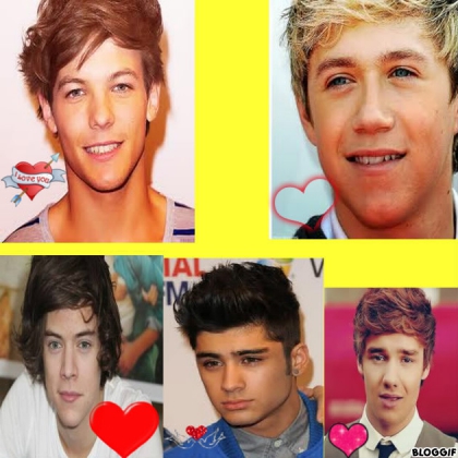 Montage des One DIRECTION - photo 2