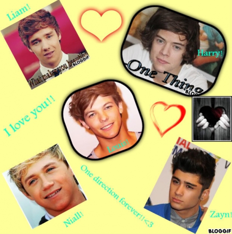 Montage des One DIRECTION
