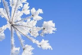 Les filles il neige ;)