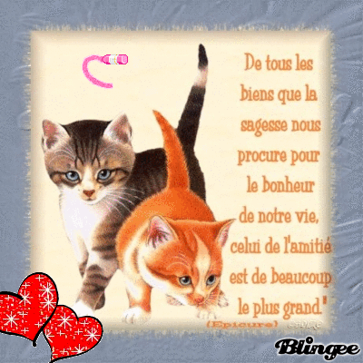 Bonne Nouvelle...! - photo 3