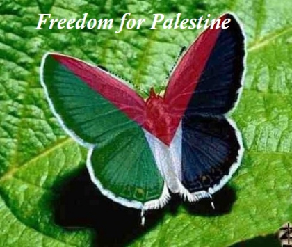 ♥ Palestine Forever ♥ - photo 2