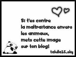 contre la maltraintance