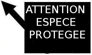 esp�ce proteger