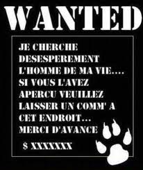 Wanted 