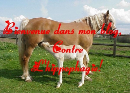 TOUS KONTRE L'HIPPOPHAGIE!!!!!!!!!!!!!!!!!!!!!!!!!!!!!!!!!!!!!!!!