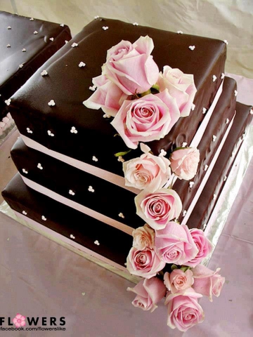 mon milleur amie pour la vie