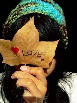 Petite Citation ( Com's Si Tu Aime )!