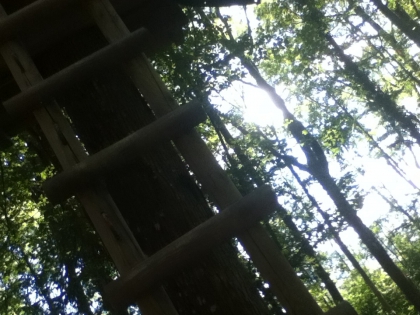 Acro Branche  - photo 2