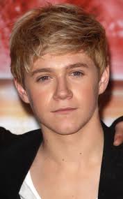 niall  - photo 3