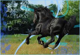 Les chevaux...j'adore - photo 2