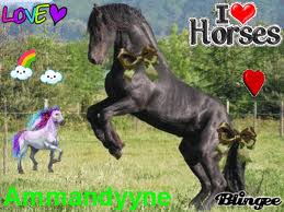 Les chevaux...j'adore