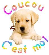 salut sa va? - photo 2