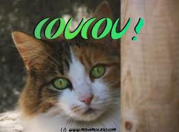 salut sa va? - photo 3