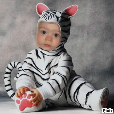 je mapelle clara orlando - photo 3