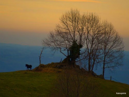 encore de photos - photo 3