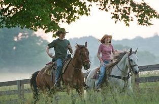 les sries tlvises - photo 2