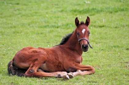 tufggvgffr - photo 2