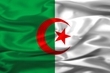 vive l algerie