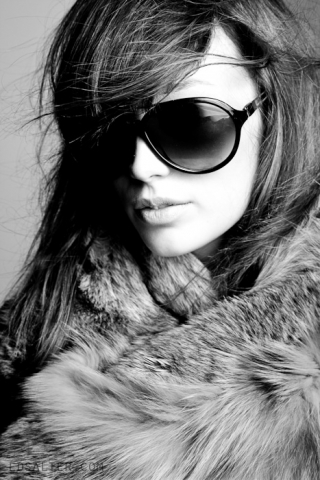 Franchement ta gueule >