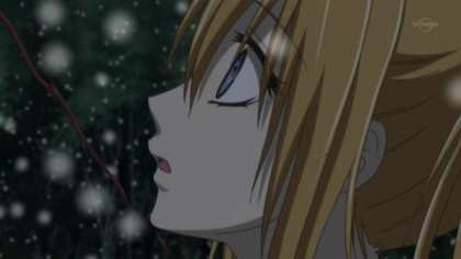 Mon couple preferer de le mangas Vampire Knight  - photo 3