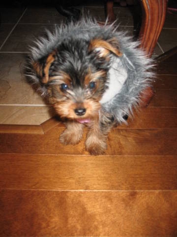 D'autres photos - photo 3