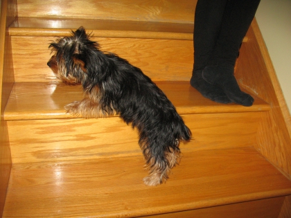 encore coquette!!!!!!!!