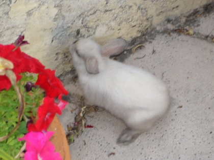 decouvrer moi - photo 2