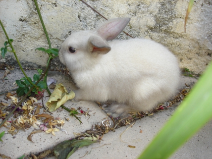 decouvrer moi - photo 3