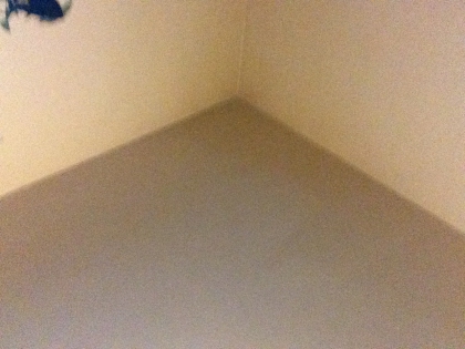 J'�crirais. Pas beaucoup de chose � l'article juste petite chose .