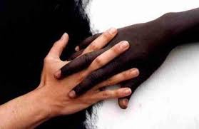 le racisme sur les noirs les blancs !