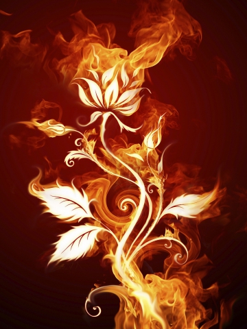 je suis trop belle - photo 2