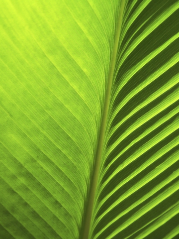 je suis trop belle - photo 3