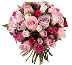 grae  NOIS que je suis la ! - photo 3