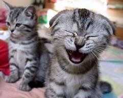 mon pr�mier jour au coll�ge - photo 3